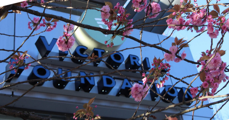 Victoria queer activist group paying pro-Palestinian protesters loses grant