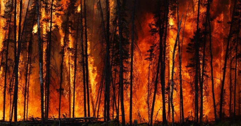 Ratio’d | Arsonists set Canada on fire. Not Climate Change.