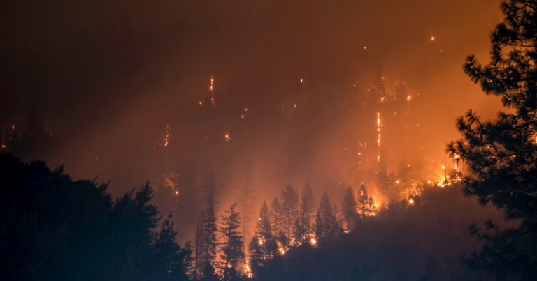 Nova Scotia man charged in largest wildfire in province’s history
