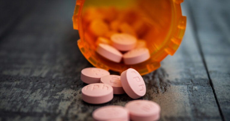 Canada has become a “safe haven” for transnational criminal syndicates: report