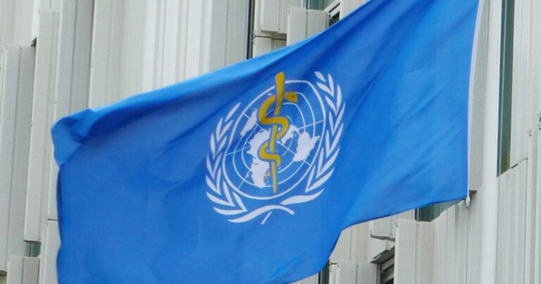 LAWTON: Is the WHO’s pandemic treaty a cover for government overreach?
