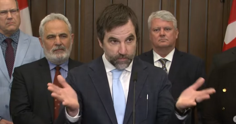 Critics call carbon tax rebrand ‘lipstick on a pig’