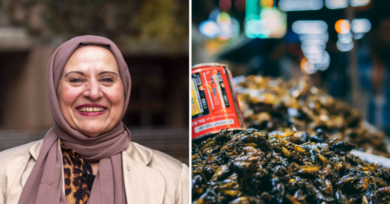 “Meat of the future”: UBC scientist recommends bug-based diet