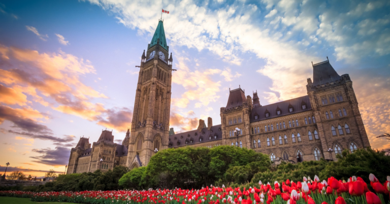 Feds owe small businesses $2.5 billion in unpaid carbon tax rebates