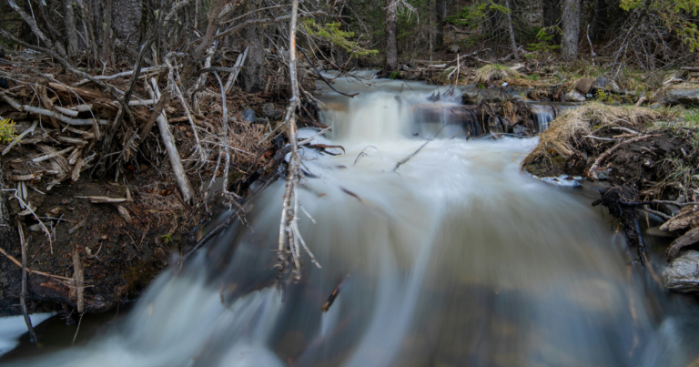 Calgary eyes May water restrictions, urges conservation from residents