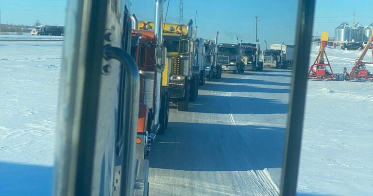 The Daily Brief | All charges dropped against Ambassador Bridge Convoy organizer