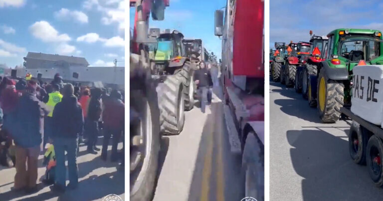 Quebec farmers “drowning in red tape” protest record low profits