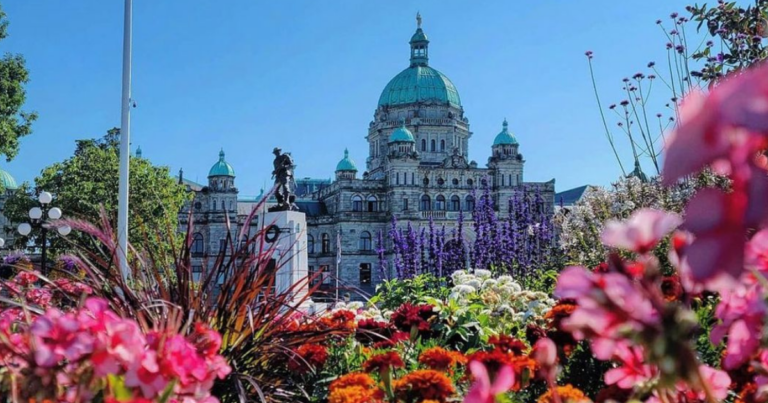 OP-ED: B.C.’s sorry plunge from fiscal leader to financial train wreck