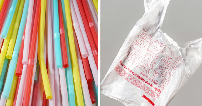 Calgary council repeals controversial single-use bylaw amidst widespread criticism