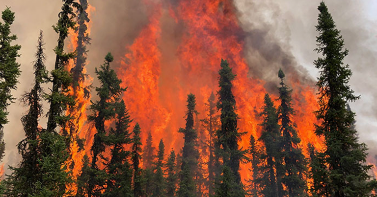 The Alberta Roundup | More human caused fires in Alberta