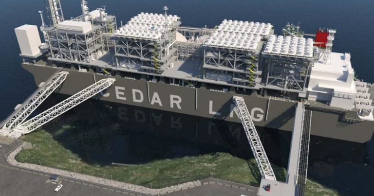 Company linked to Chinese state wants to buy stake in Canadian LNG project