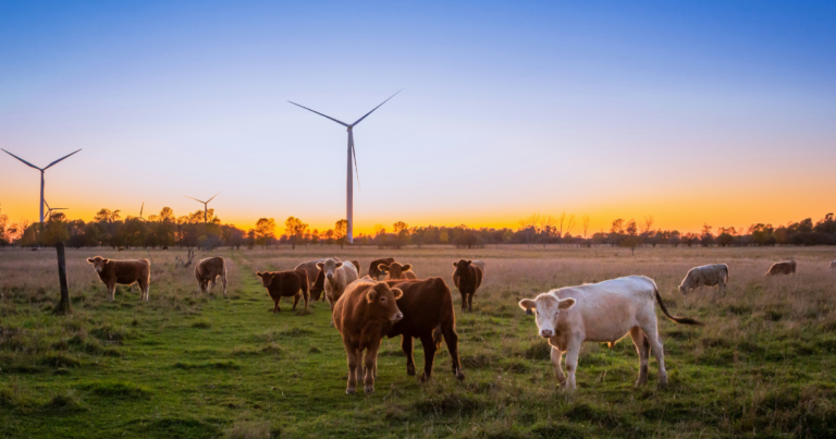 Farmers warn capital gain tax will harm family farms, retirement plans