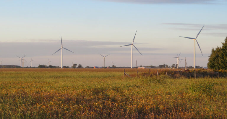 The Faulkner Show | The environmental case against mass immigration