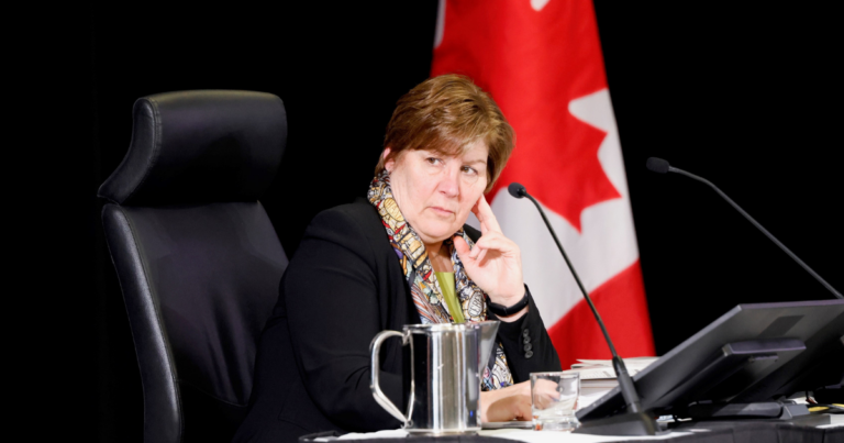 MPs call on foreign interference inquiry to investigate latest allegations