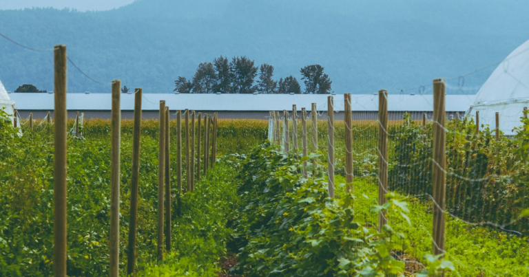 OP-ED: Majority of Canadians want carbon tax scrapped on farms