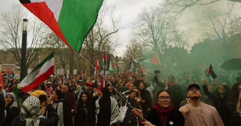 Montreal police investigating McGill encampment’s “revolutionary” youth camp