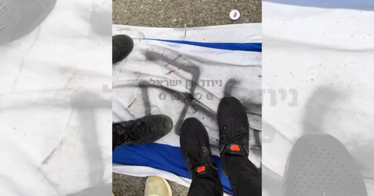 Toronto protesters stomp on Israeli flag defaced with swastikas at the Walk with Israel