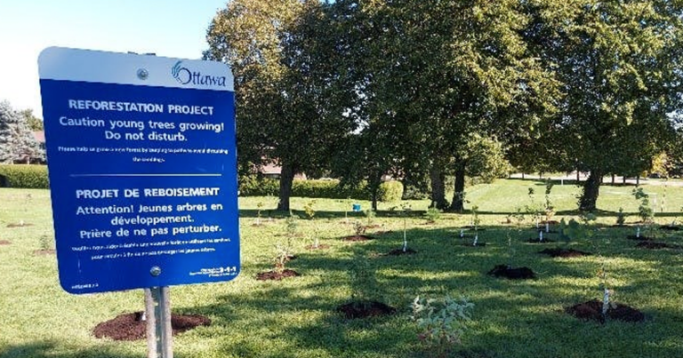 The Daily Brief | “Tree Equity?”