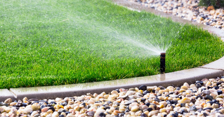 The Alberta Roundup | Calgarians turn to pandemic-era snitch lines