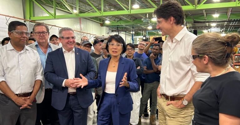 Trudeau, Chow use Toronto flood to fearmonger about climate change but adaptation is key says expert