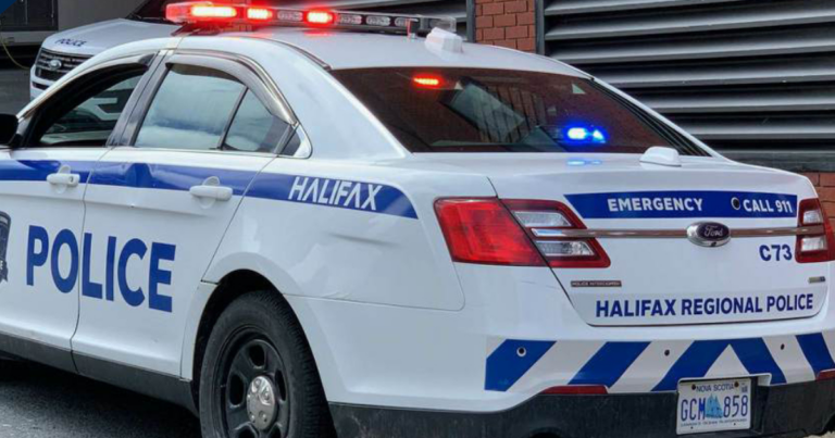 Halifax police still investigating attack on lesbian couple by group of Middle Eastern men