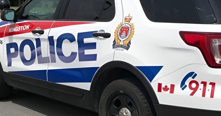 Kingston police search for random assault suspect who struck woman with a hammer