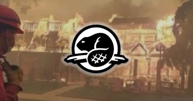 “Parks Canada knew”: Former Jasper official speaks out about federal mismanagement in aftermath of wildfire