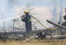 The Daily Brief | Investigating the mismanagement of the Jasper Wildfire