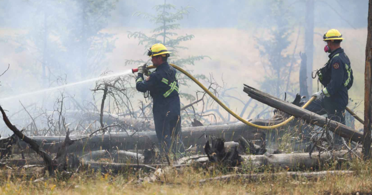 The Daily Brief | Investigating the mismanagement of the Jasper Wildfire