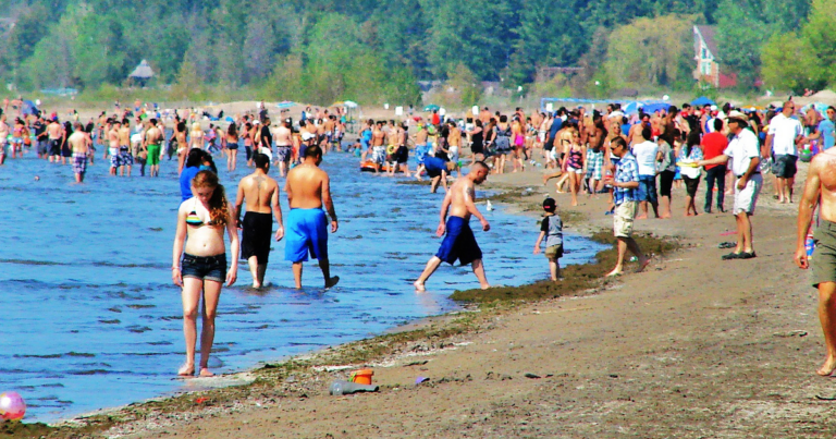 The Daily Brief | Woman goes viral after accusing newcomers of pooping on beaches