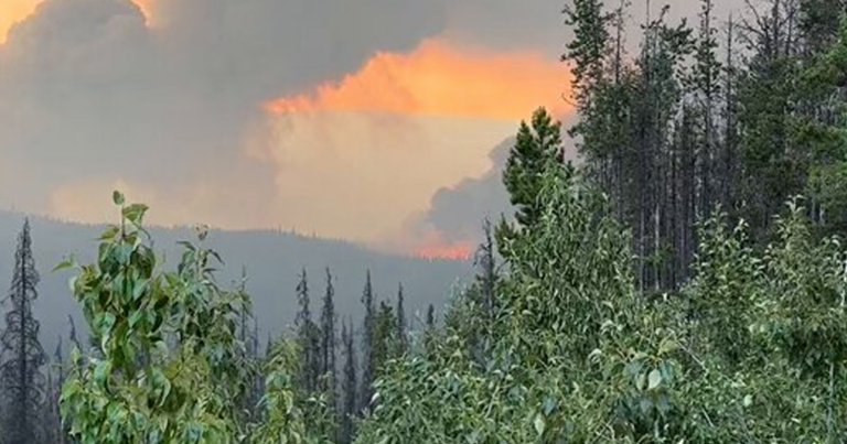 Multiple wildfires force thousands to evacuate Jasper