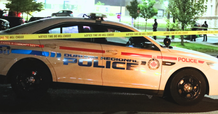 Half of Canadian businesses experienced crime and safety issues: survey