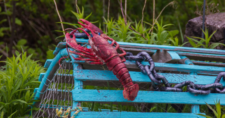 NS ministers call for help from feds to combat organized crime in fishing industry