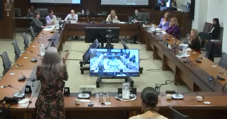 Liberal and NDP MPs committee antics result in domestic assault witness to leave in tears