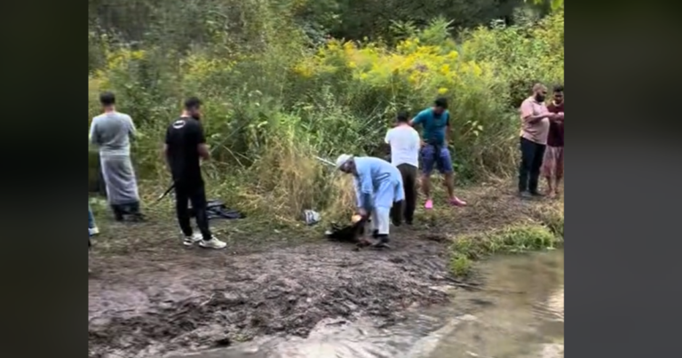 Viral Bowmanville Creek net fishing video prompts conservation investigation