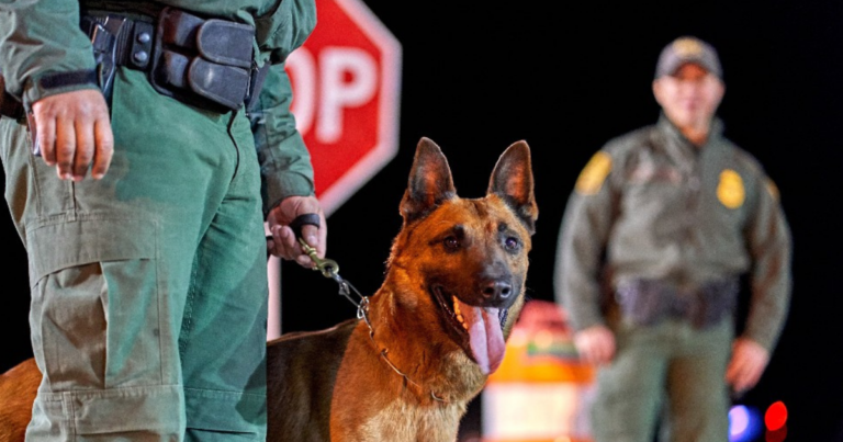 US threatens stricter border rules if Ottawa doesn’t fix illegal immigration