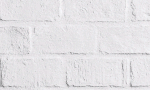 tnn-banner