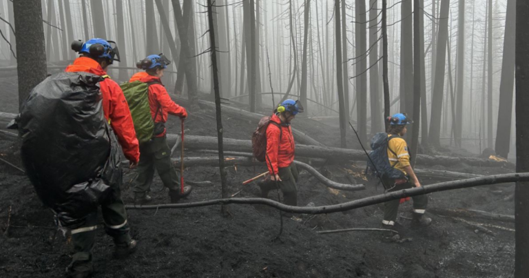 Conservatives want to extend Jasper wildfire mismanagement probe