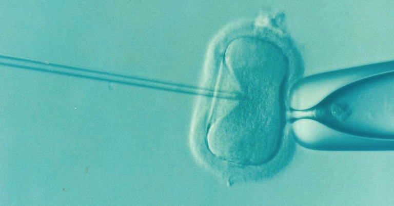 OP-ED: Is in vitro fertilization (IVF) pro-life? 