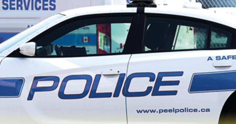 Agitator arrested and charged for comments at Hindu solidarity protest in Brampton