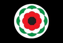 Former South African politician calls for poppies to be transformed into Palestinian flags