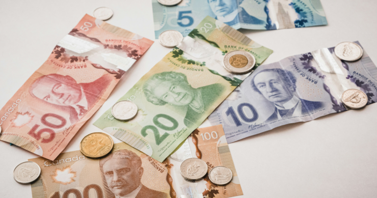 Immigrants in Canada sent $12 billion worth of remittances abroad in 2023