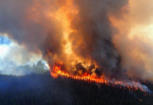 The Alberta Roundup | Alberta’s biggest stories of 2024