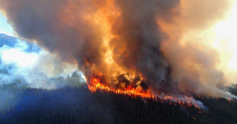 The Alberta Roundup | Alberta’s biggest stories of 2024