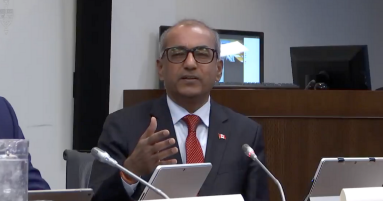 Liberal leadership contestant says French not important to Quebec