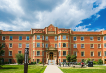 Only 2% of university job ads are merit-based and not DEI: study